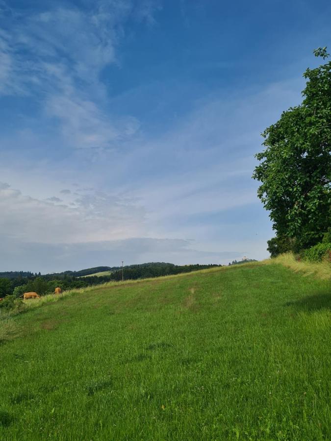 Pensionszimmer Larifari Drees Esterno foto