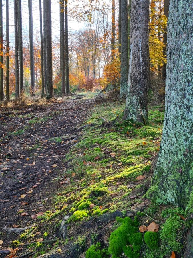 Pensionszimmer Larifari Drees Esterno foto
